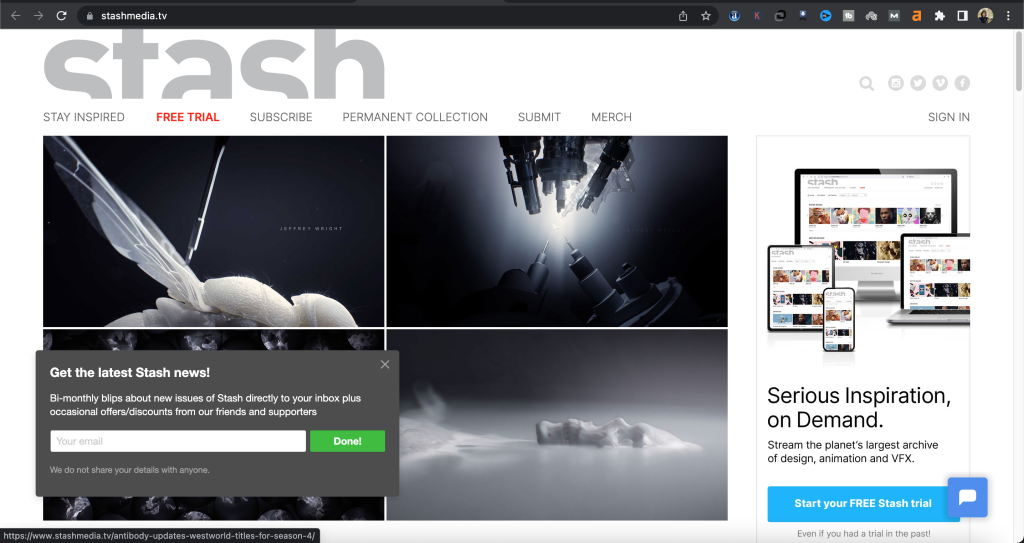 سایت استش Stash برای موشن گرافیک